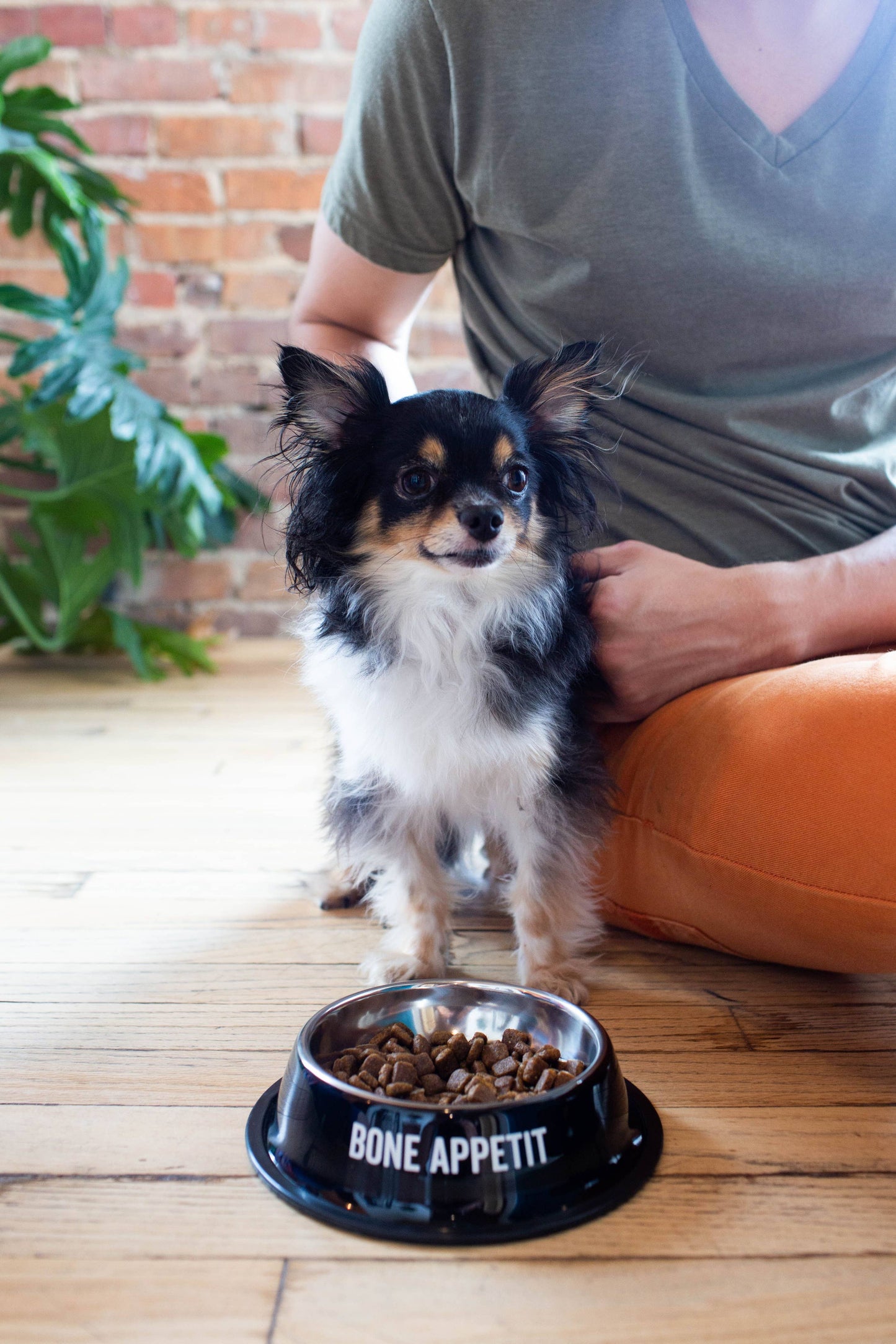 Bone Appetit Pet Bowl - Holden Hearts