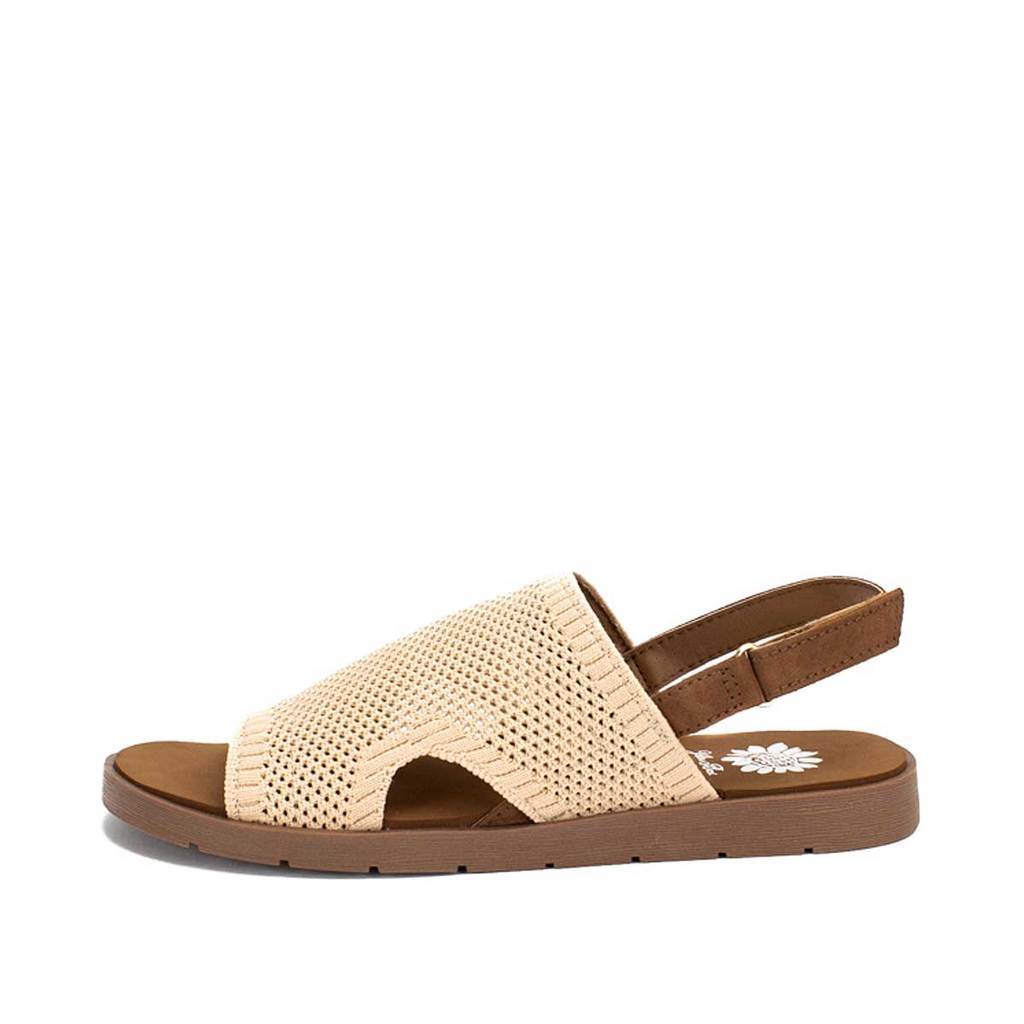 Trendy Transitions in Cream - Holden Hearts